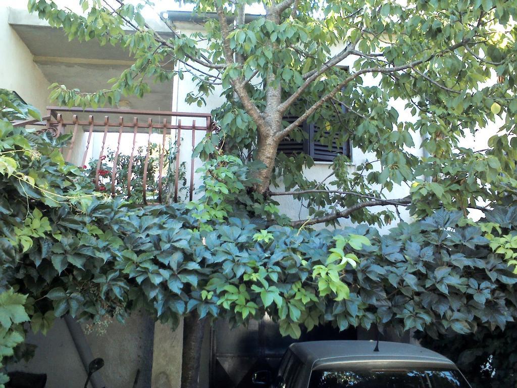 Apartment Artusi Pula Pokój zdjęcie